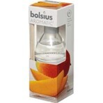 Bolsius Magnolia Scented Fragrance Diffuser 1×45 ml, Duft-Diffusor