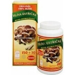 TEREZIA MUSHROOM MUSHROOM FUNGUS 1×180 cps, food supplement