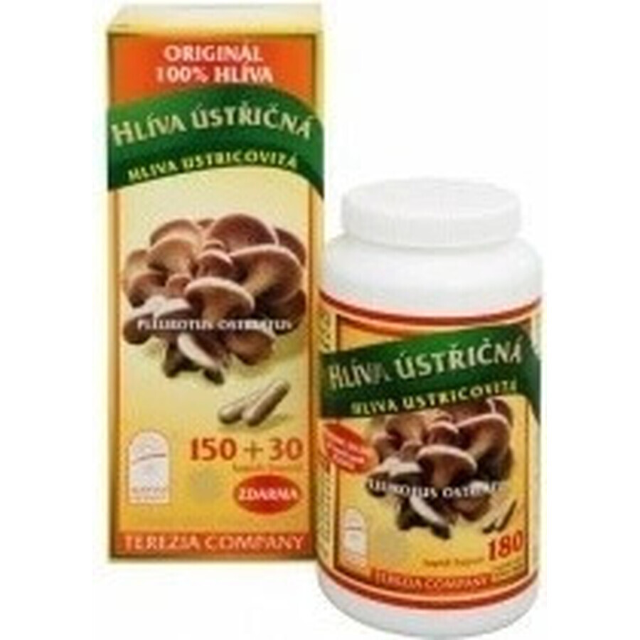 TEREZIA MUSHROOM MUSHROOM FUNGUS 1×180 cps, food supplement