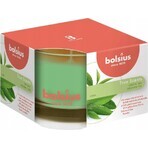 Bolsius Aromatic 2.0 Candela profumata in vetro con tè verde 1×1 pz, dimensioni 90 x 63 mm