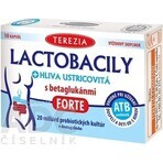 TEREZIA LACTOBACILY + USTRICOUS FUNGUS 1x10 cps, con beta-glucani FORTE