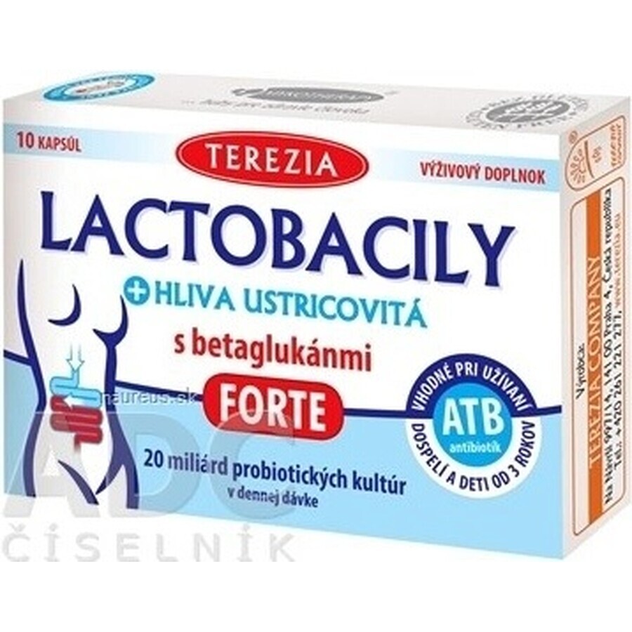 TEREZIA LACTOBACILY + USTRICOUS FUNGUS 1x10 cps, con beta-glucani FORTE