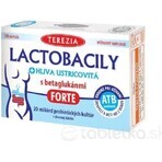 TEREZIA LACTOBACILY + USTRICOUS FUNGUS 1x10 cps, con beta-glucani FORTE