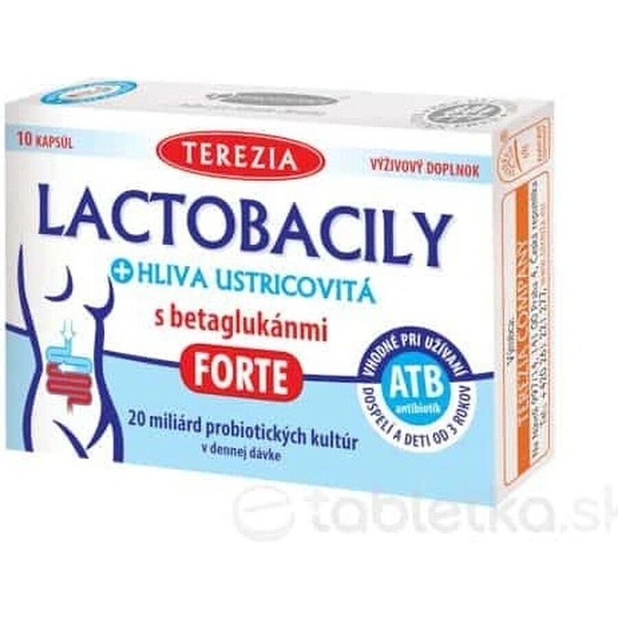 TEREZIA LACTOBACILY + USTRICOUS FUNGUS 1x10 cps, con beta-glucani FORTE