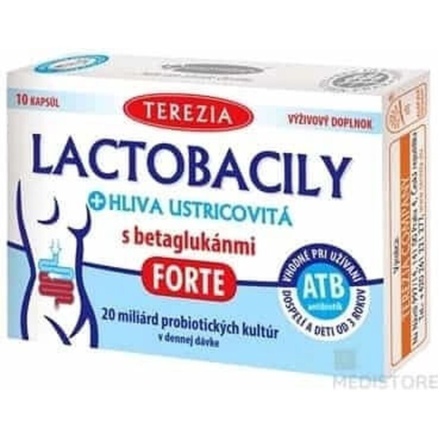 TEREZIA LACTOBACILY + USTRICOUS FUNGUS 1x10 cps, con beta-glucani FORTE