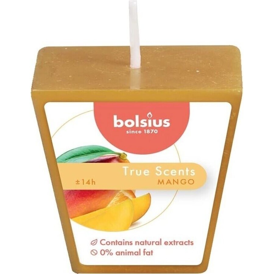 Bolsius Aromatic 2.0 Votive Mango, scented candle 1×1 pc, size 48 mm