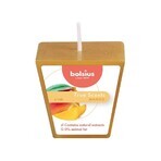 Bolsius Aromatic 2.0 Votive Mango, scented candle 1×1 pc, size 48 mm