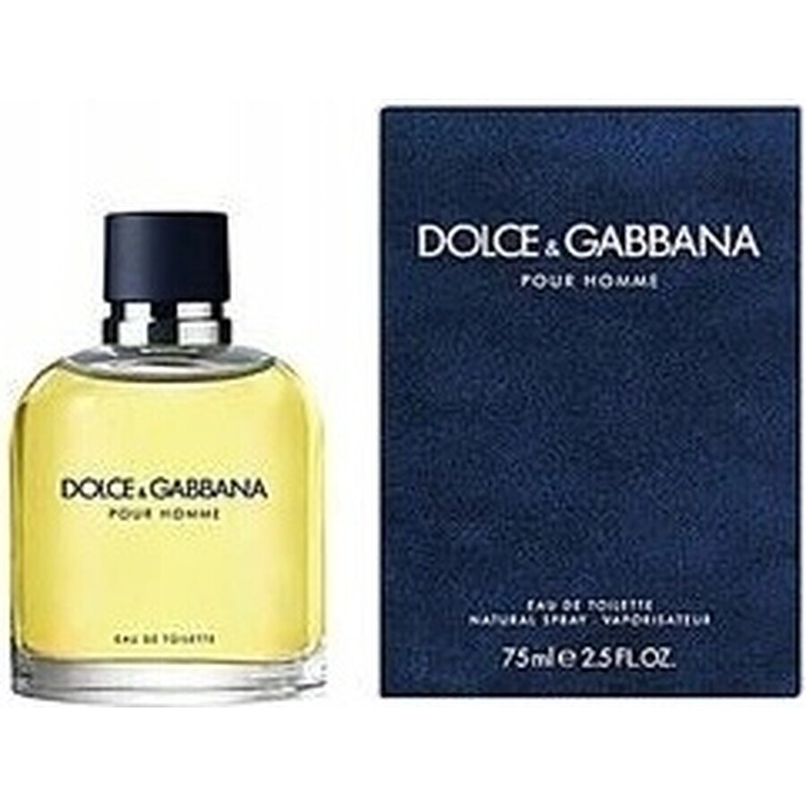 Dolce&Gabbana Pour Homme 2012 Edt 75ml 1×75 ml, eau de toilette