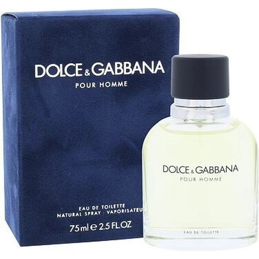 Dolce&Gabbana Pour Homme 2012 Edt 75ml 1×75 ml, eau de toilette