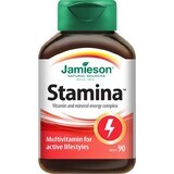 JAMIESON STAMINA COMPLEX OF VITAMINS AND MINERALS 1×90 tbl, food supplement