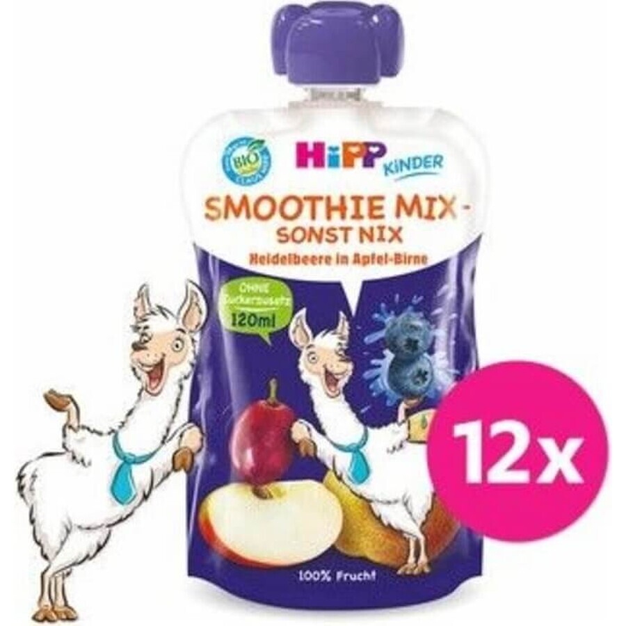 HiPP BIO Smoothie MIX Apple Pear Blueberries 1×120 ml, fructe și legume, 12m+