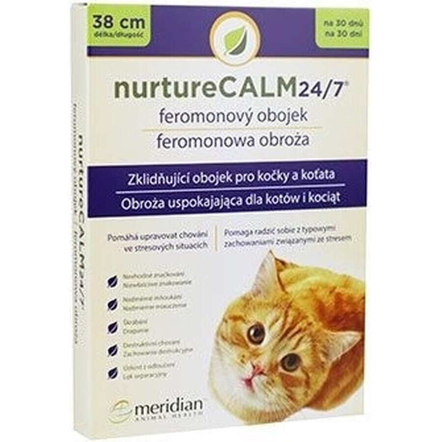 Collare a feromoni per gatti Sergeants 1×35 cm, collare calmante per gatti e gattini