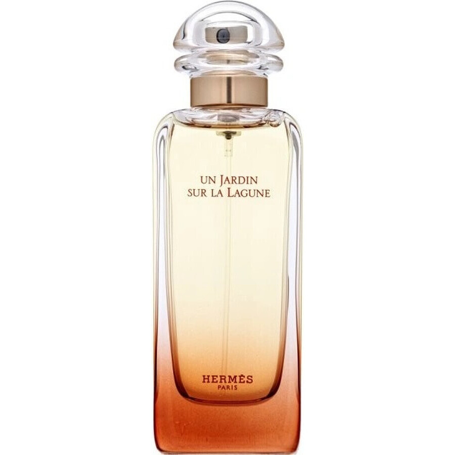 HERMES UN JARDIN SUR LA LAGUNE eau de toilette 1×100ml, eau de toilette per uomo e donna