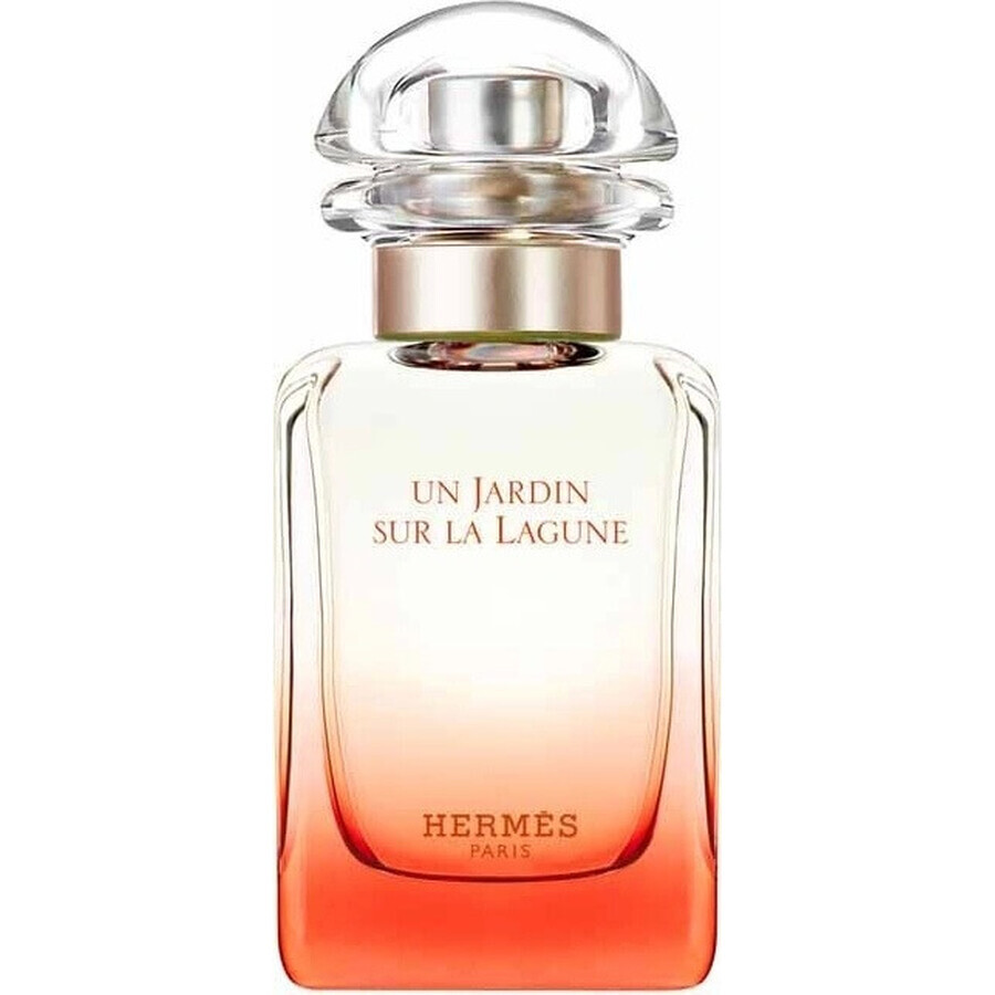 HERMES UN JARDIN SUR LA LAGUNE eau de toilette 1×100ml, eau de toilette per uomo e donna