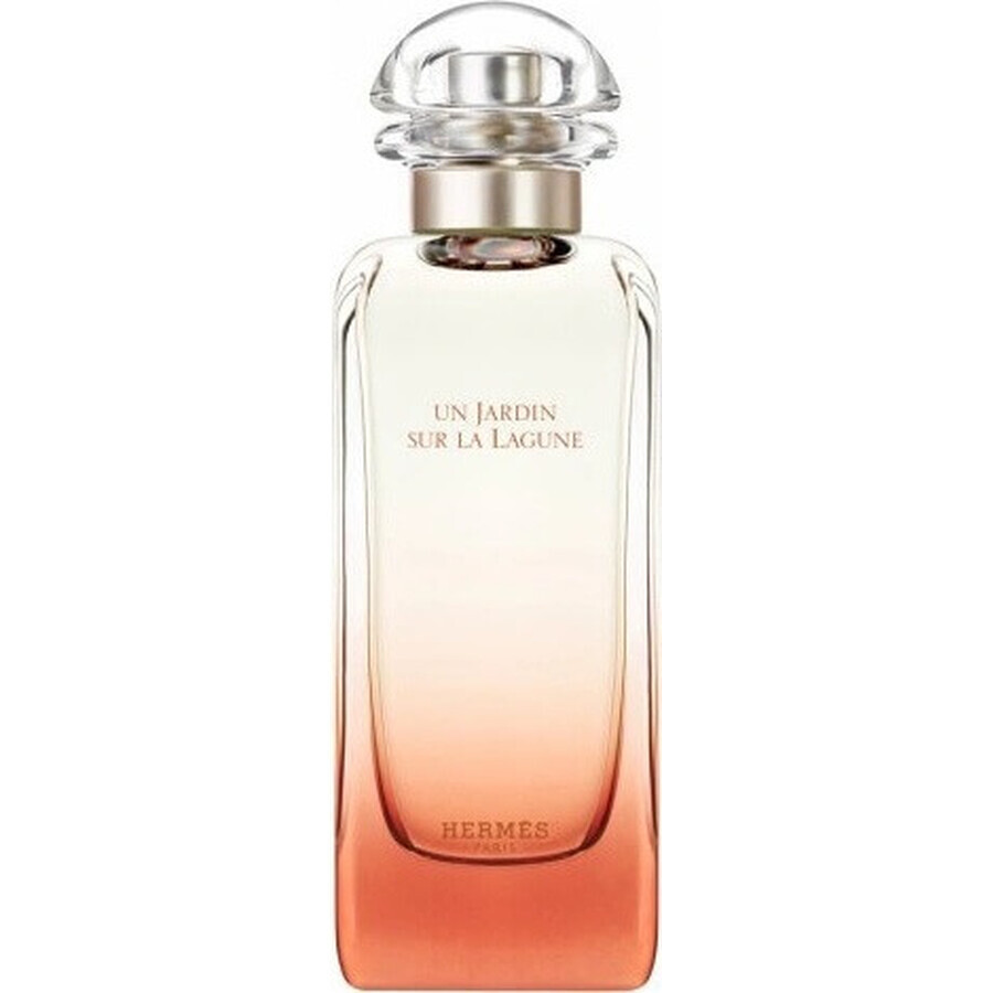 HERMES UN JARDIN SUR LA LAGUNE eau de toilette 1×100ml, eau de toilette per uomo e donna