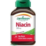 JAMIESON NIACIN 500 mg WITH INOSITOL 1×60 tbl, niacin