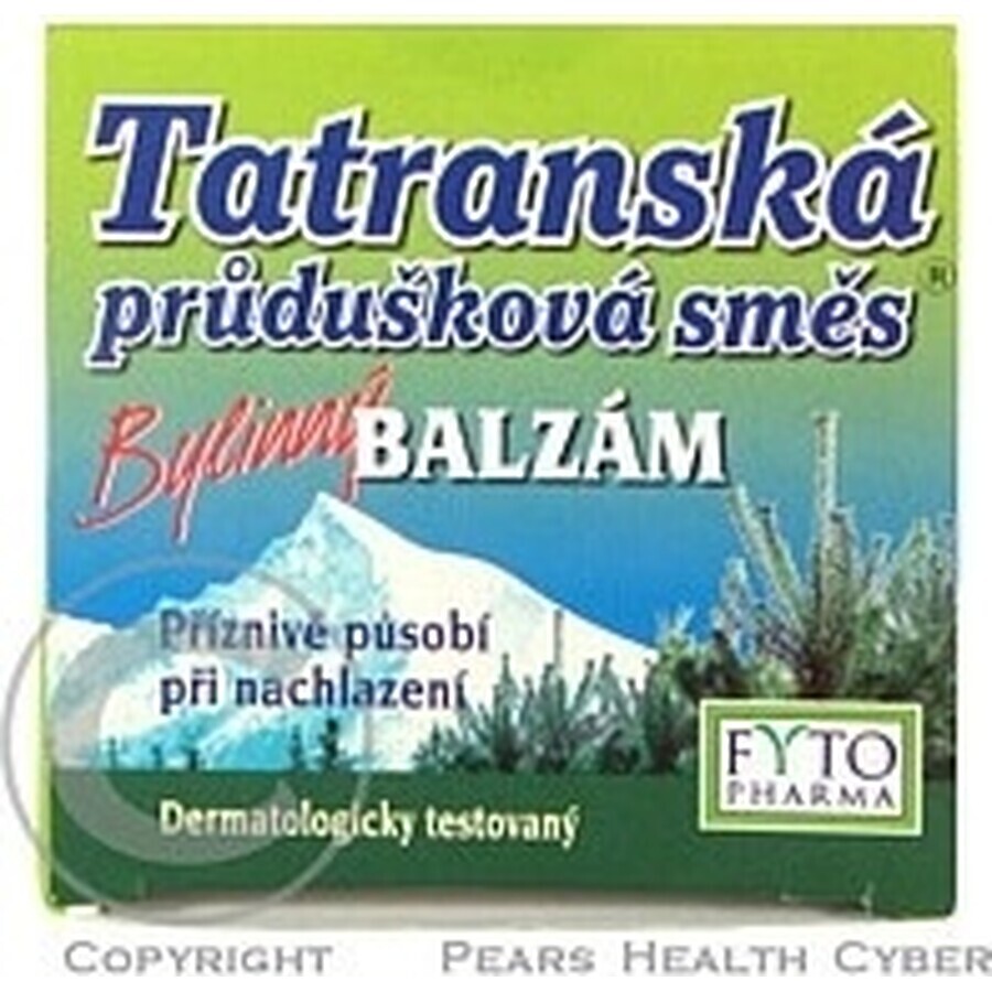 FYTO Tatra miscela di erbe per bronchi 1×40 g per il raffreddore