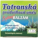 FYTO Tatra miscela di erbe per bronchi 1×40 g per il raffreddore