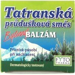 FYTO Tatra miscela di erbe per bronchi 1×40 g per il raffreddore