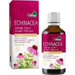 NaturProdukt ECHINACEA 1×50 ml, gotas