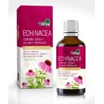 NaturProdukt ECHINACEA 1×50 ml, gotas