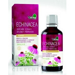 NaturProdukt ECHINACEA 1×50 ml, gotas