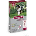 Advantix Spot-on for dogs from 10 to 25 kg 1×2,5 ml, pipette