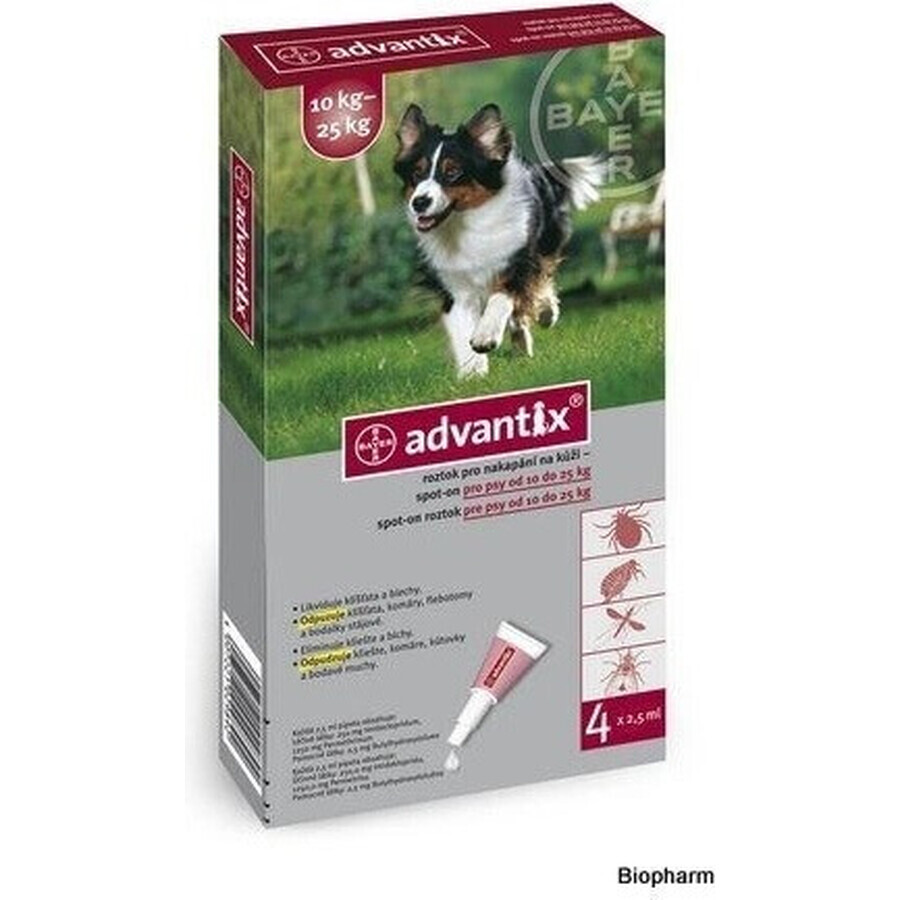 Advantix Spot-on for dogs from 10 to 25 kg 1×2,5 ml, pipette