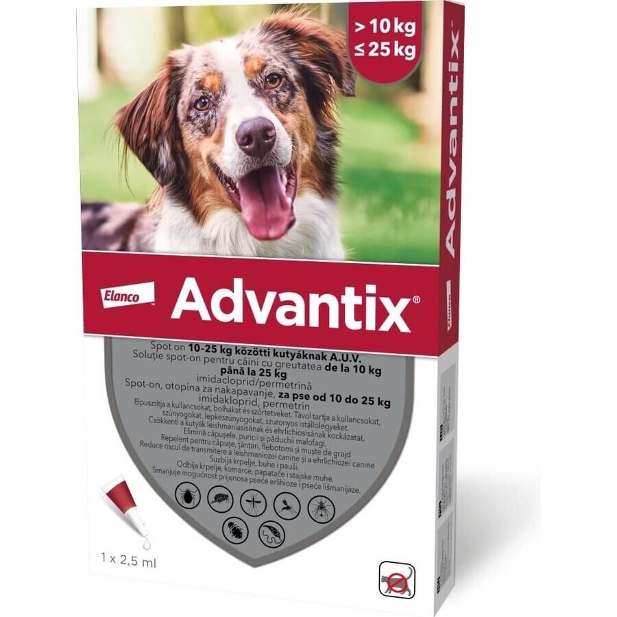 Advantix Spot-on for dogs from 10 to 25 kg 1×2,5 ml, pipette