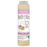 Eco Organic shampoo for oily hair with burdock and rosemary, 250 ml, Anthyllis