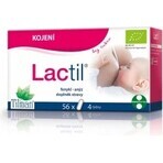 Lactil 1×56 cps, food supplement