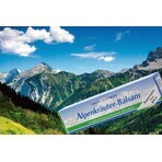 Primavera Alpenkräuter Balsam 1×200 ml, Balsamo alle erbe alpine