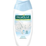 Duschgel Palmolive Nat.Milk Proteins 1×250 ml mit Duschmilch