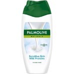 Duschgel Palmolive Nat.Milk Proteins 1×250 ml mit Duschmilch