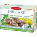 TEA THEREZIA SHII-TAKE + RHODIOLA ROSEA 1×60 cps, Nahrungsergänzungsmittel