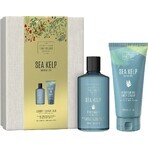 Scottish Fine Soaps body care gift set - seaweed 1×1set