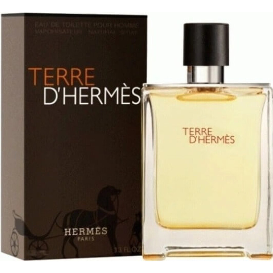 Hermes Terre D Hermes Edt 50ml 1×50 ml, Eau de toilette