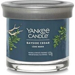 Yankee Candle Signature vela pequeña Bayside Cedar 1×122 g Bayside Cedar 1×122 g, vela perfumada