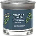 Yankee Candle Signature vela pequeña Bayside Cedar 1×122 g Bayside Cedar 1×122 g, vela perfumada