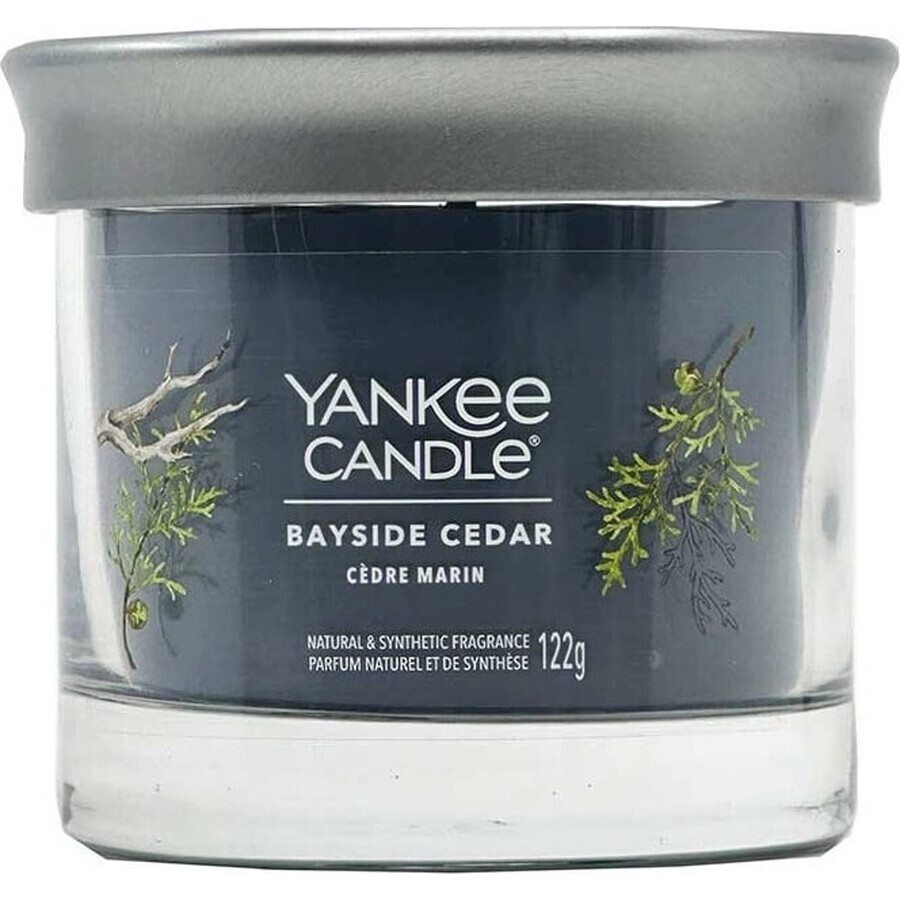 Yankee Candle Signature vela pequeña Bayside Cedar 1×122 g Bayside Cedar 1×122 g, vela perfumada