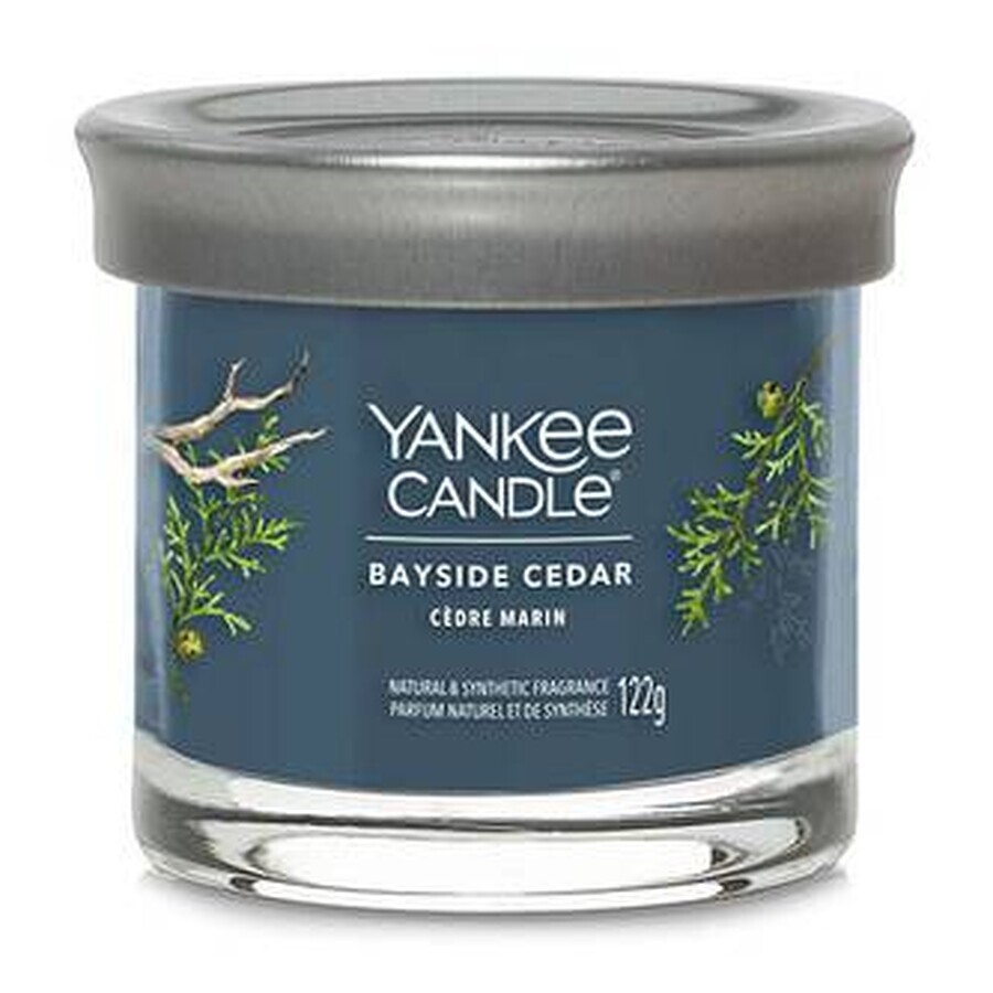 Yankee Candle Signature vela pequeña Bayside Cedar 1×122 g Bayside Cedar 1×122 g, vela perfumada