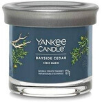 Yankee Candle Signature vela pequeña Bayside Cedar 1×122 g Bayside Cedar 1×122 g, vela perfumada