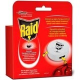 Raid against ants 1×1 pc, for ant removal