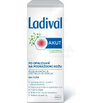 LADIVAL Akut Siero viso 1×50 ml, siero viso dopo l'esposizione al sole