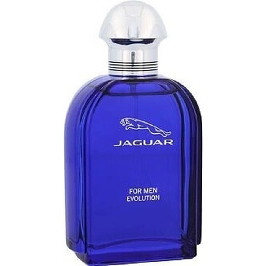 Jaguar Men Evolution Edt 100ml 1×100 ml, Eau de toilette