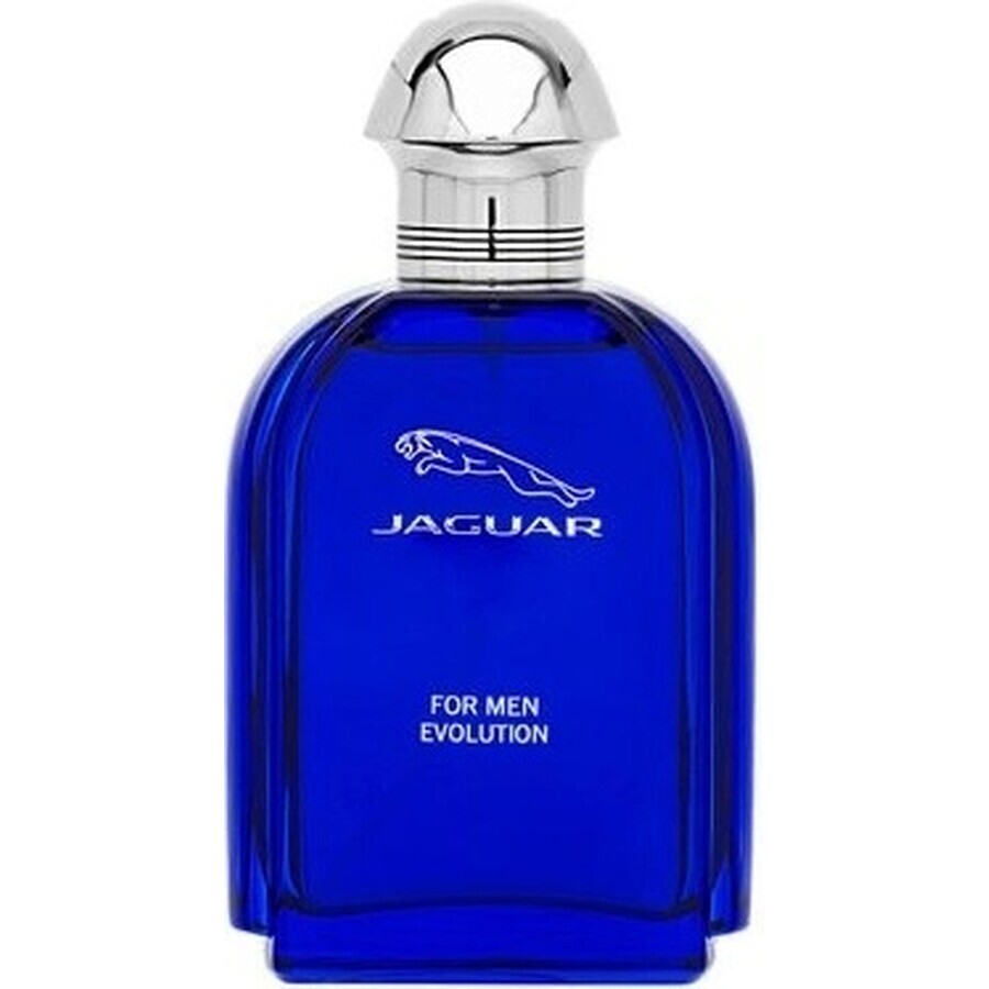 Jaguar Men Evolution Edt 100ml 1×100 ml, Eau de toilette