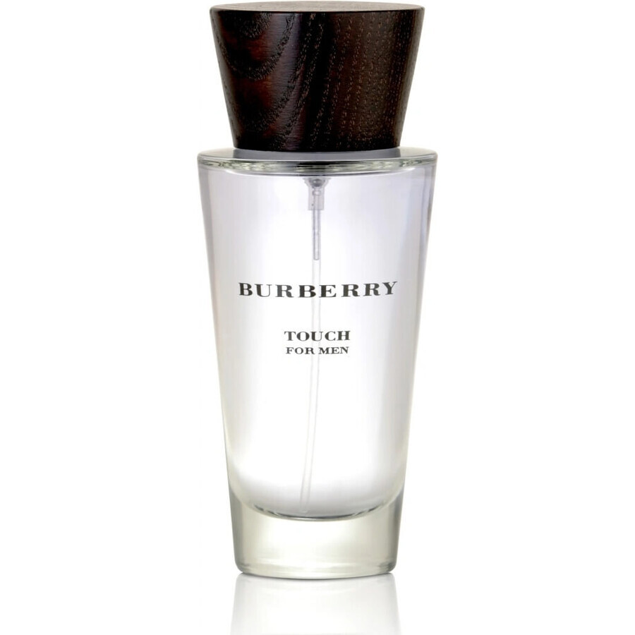 Burberry Touch Men Edt 100ml 1×100 ml, eau de toilette