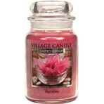 Village Candle Scented Candle in glass - Harmony - Harmony, large 1×1 pc