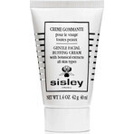 Sisley Peeling detergente per tutti i tipi di pelle 40 ml 1×40 ml 1×40 ml, peeling