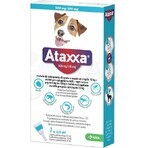 Ataxxa 500 mg/100 mg (cani da 4 kg a 10 kg) 1×1 ml, soluzione per cani